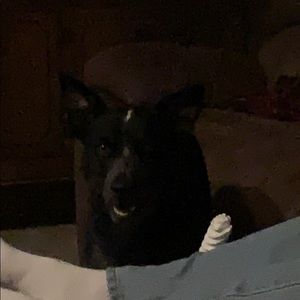 Meet your Posher, Jen